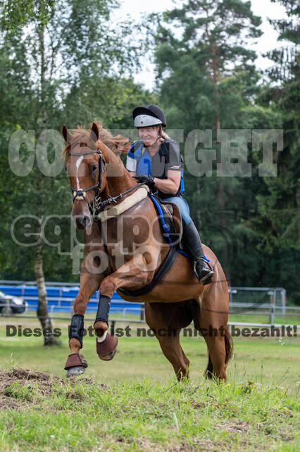 Hunter Geländetraining 10.07.2021 (Sonsbeck)