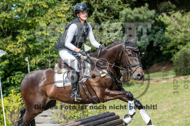 Late-Entry-Vielseitigkeit Langenfeld (11.+13./14.06.2020)