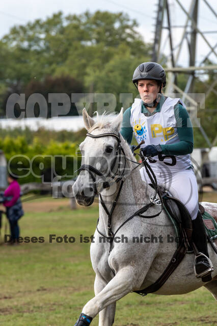 Vielseitigkeit RSV Wesel Obrighoven (26.+27.09.2020)