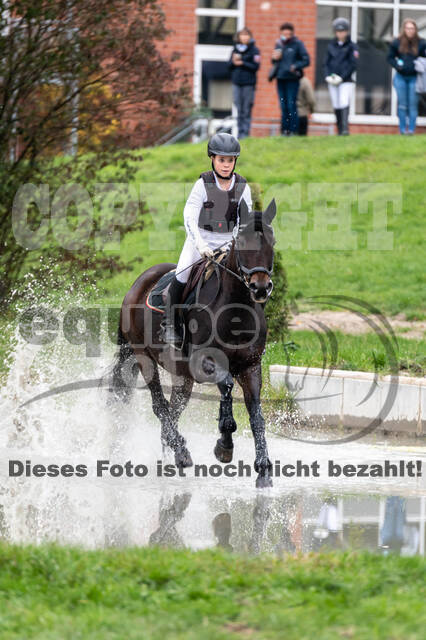 Goldene Schärpe 2020 - Pferde