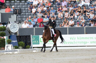 FEI European Championship Eventing 2019