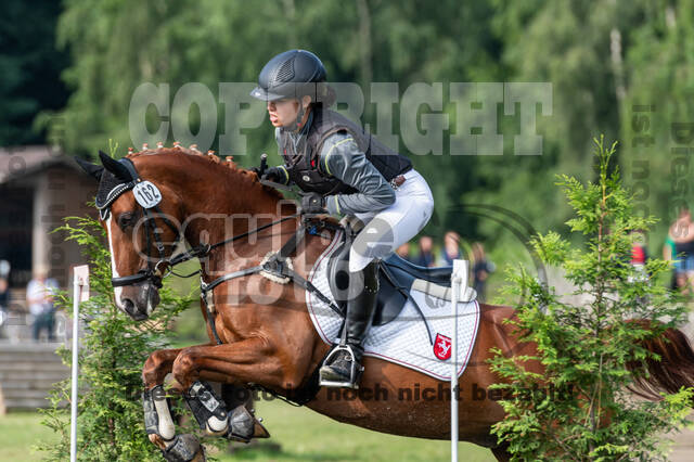 Goldene Schärpe 2021 - Ponys