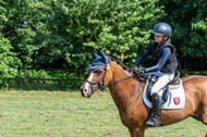 Goldene Schärpe 2021 - Ponys