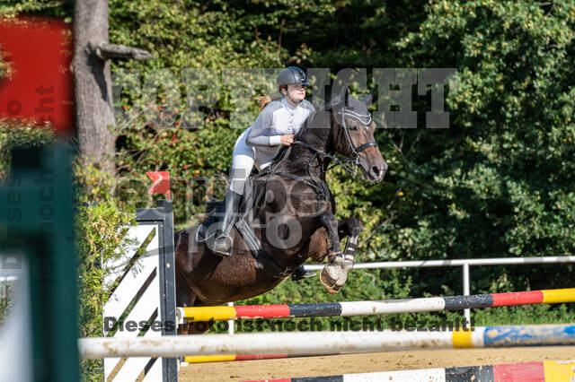 RFV Dinslaken-Hiesfeld (Herbstturnier)
