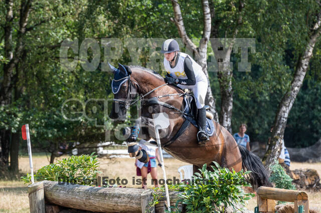 Late-Entry Vielseitigkeit Hamminkeln/Wesel (01.+02.08.2020)