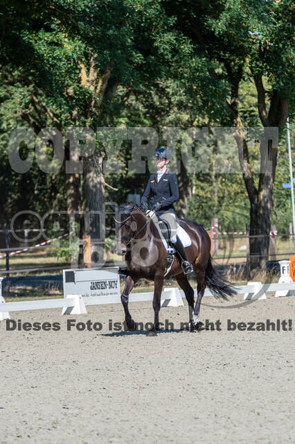 Kronenberg - De Peelbergen (August 2020)