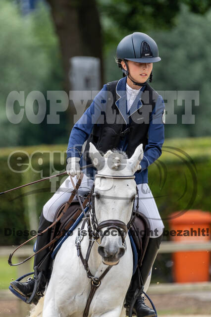 Goldene Schärpe 2021 - Ponys