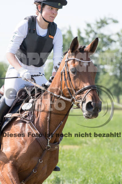Vielseitigkeitsturnier ZRuFV von Lützow Hamminkeln