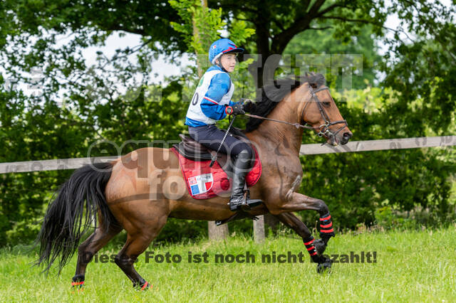 Westerstede Horse Trials 2021