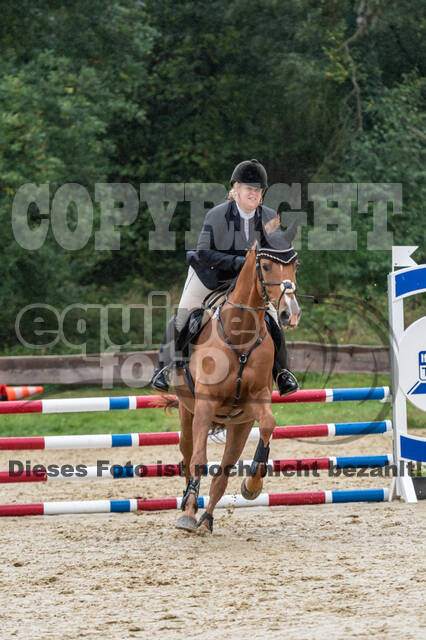 Vielseitigkeit RSV Wesel Obrighoven (26.+27.09.2020)