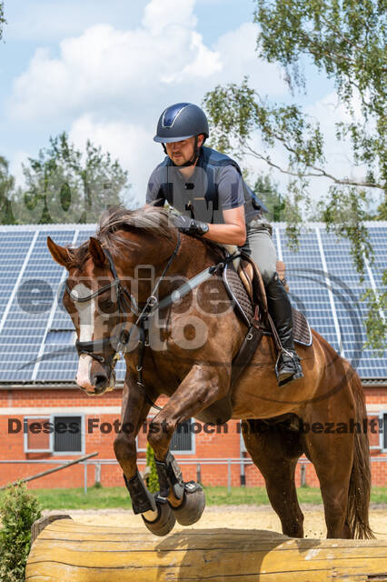 Hunter Geländetraining 10.07.2021 (Sonsbeck)