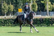 Kronenberg - De Peelbergen (August 2020)