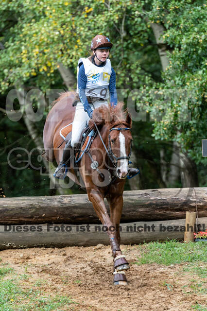 Vielseitigkeit RSV Wesel Obrighoven (26.+27.09.2020)