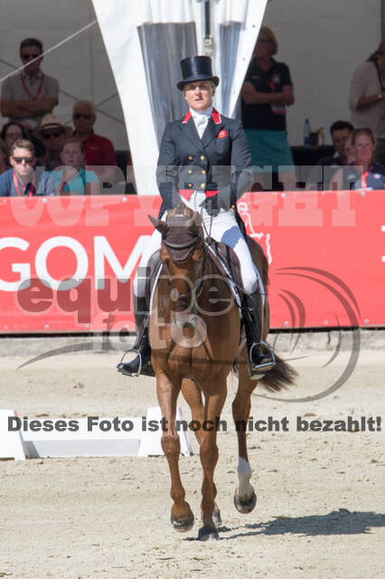FEI European Championship Eventing 2017