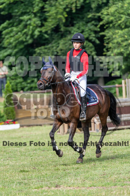 Goldene Schärpe 2021 - Ponys