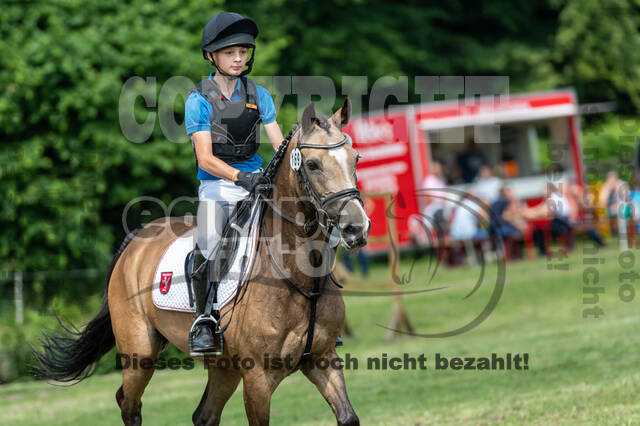 Goldene Schärpe 2021 - Ponys