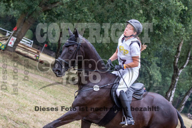 Late-Entry Vielseitigkeit Hamminkeln/Wesel (01.+02.08.2020)