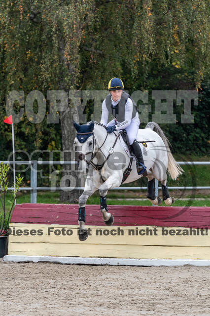 Goldene Schärpe 2020 - Pferde