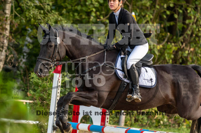 RFV Dinslaken-Hiesfeld (Herbstturnier)