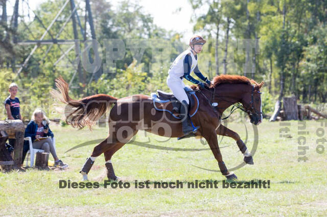 Vielseitigkeitsturnier RSV St. Hubertus Wesel Obrighoven