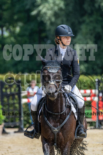 Goldene Schärpe 2021 - Ponys