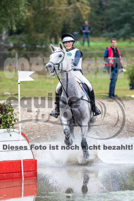 Deutsche Meisterschaft Vielseitigkeit (Luhmühlen)