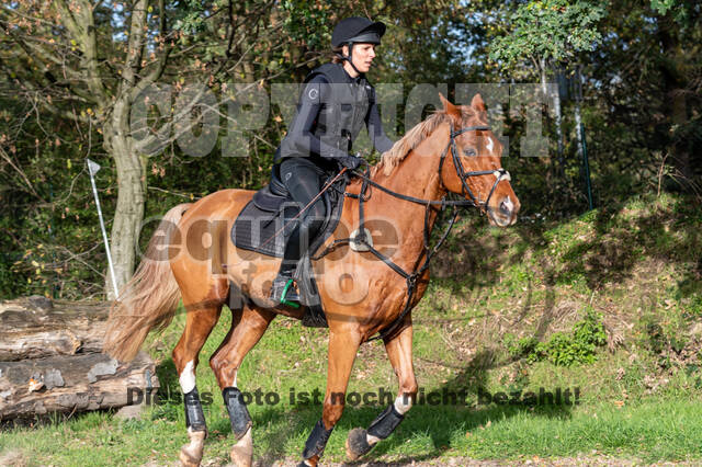 IGV Lehrgang der Sieger der Cups mit Frank Ostholt