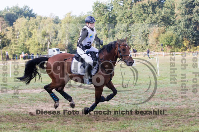 Vielseitigkeitsturnier RSV St. Hubertus Wesel Obrighoven