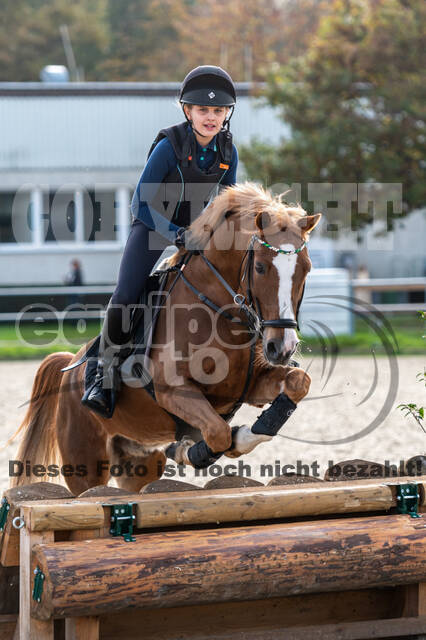 IGV Lehrgang der Sieger der Cups mit Frank Ostholt