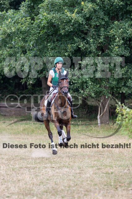 Late-Entry Vielseitigkeit Hamminkeln/Wesel (01.+02.08.2020)