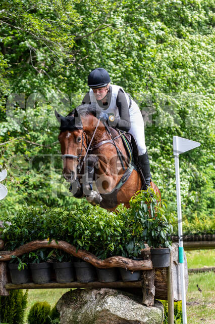 Westerstede Horse Trials 2021