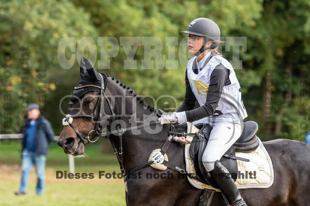 Vielseitigkeit RSV Wesel Obrighoven (26.+27.09.2020)