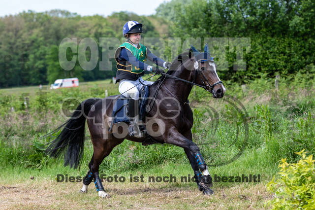 Westerstede Horse Trials (10.-13.06.2021)