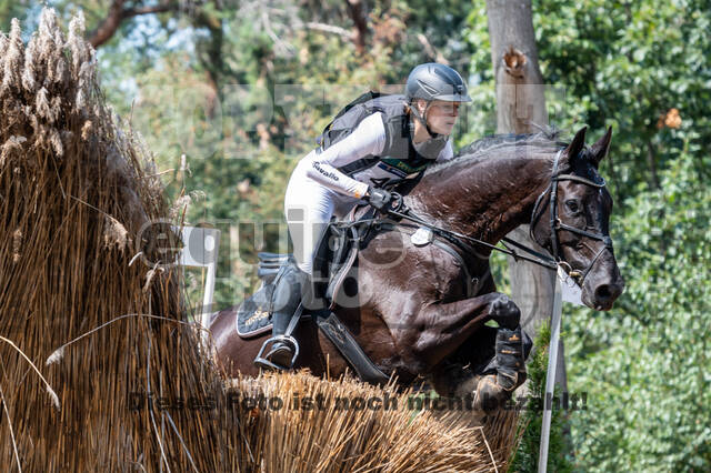 De Peelbergen (August 2020)