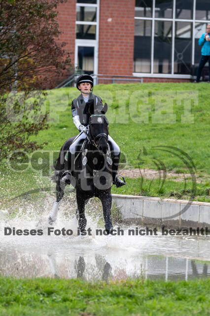 Goldene Schärpe 2020 - Pferde