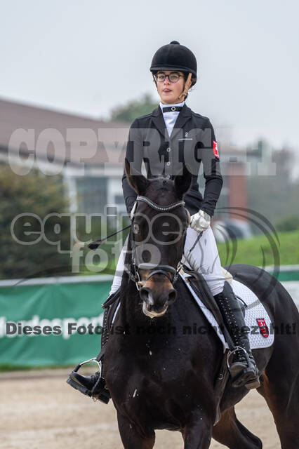 Goldene Schärpe 2020 - Pferde