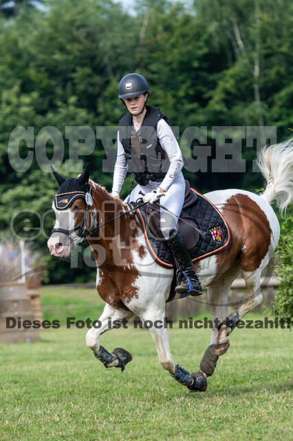 Goldene Schärpe 2021 - Ponys