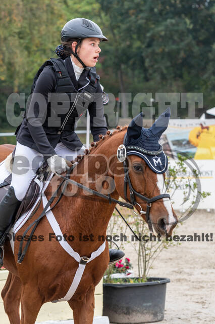 Goldene Schärpe 2020 - Pferde