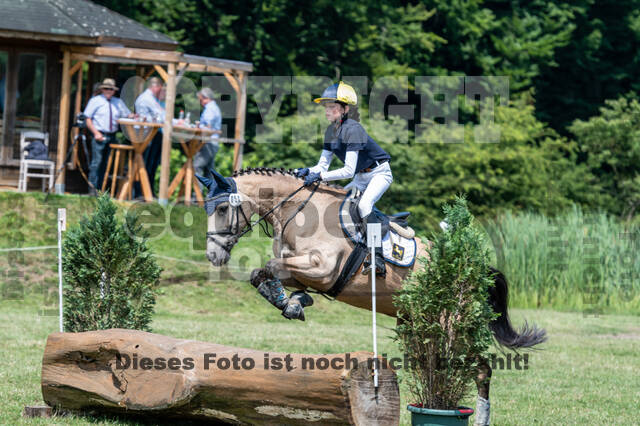 Goldene Schärpe 2021 - Ponys