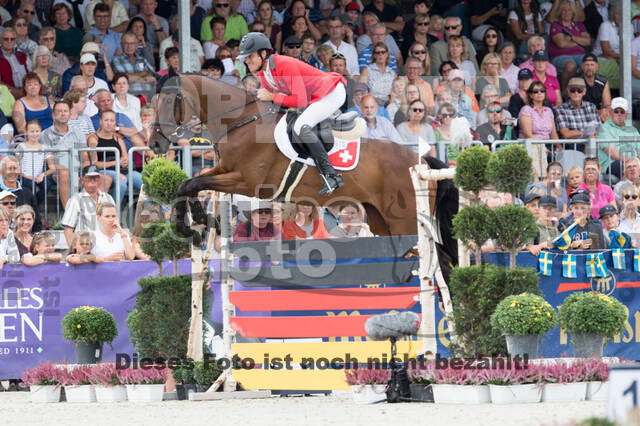 FEI European Championship Eventing 2019