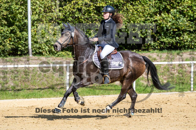 RFV Dinslaken-Hiesfeld (Herbstturnier)
