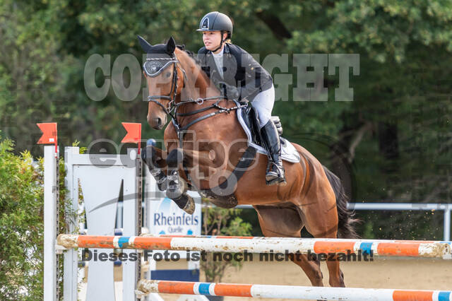 RFV Dinslaken-Hiesfeld (Herbstturnier)