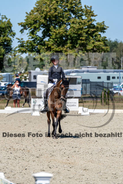 Kronenberg - De Peelbergen (August 2020)