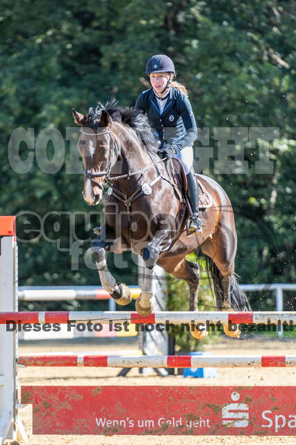 RFV Dinslaken-Hiesfeld (Herbstturnier)