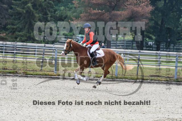 Late-Entry-Vielseitigkeit Langenfeld (11.+13./14.06.2020)