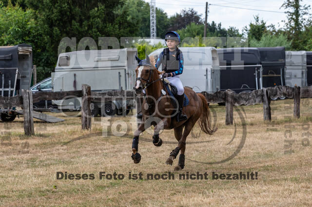 Late-Entry Vielseitigkeit Hamminkeln/Wesel (01.+02.08.2020)