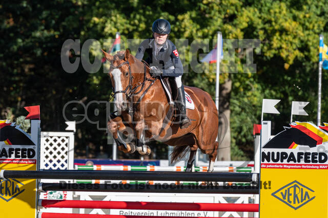 Deutsche Meisterschaft Vielseitigkeit (Luhmühlen)