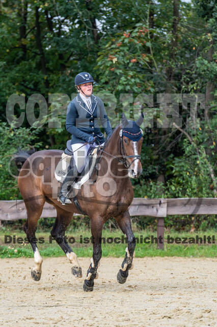 Vielseitigkeit RSV Wesel Obrighoven (26.+27.09.2020)