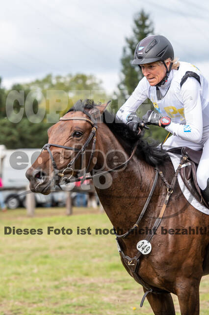 Vielseitigkeit RSV Wesel Obrighoven (26.+27.09.2020)