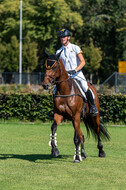 Kronenberg - De Peelbergen (August 2020)